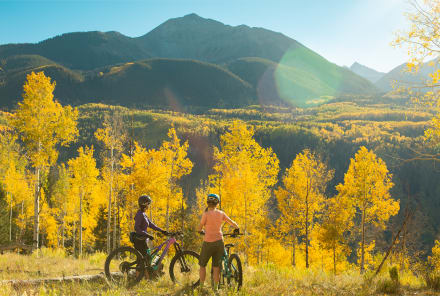 Colorado's Leaves Are Putting On A Show Now!