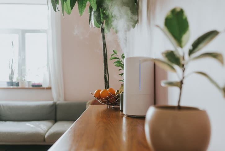 Yikes — Humidifiers Can Actually Worsen Your Air Quality Under These Conditions